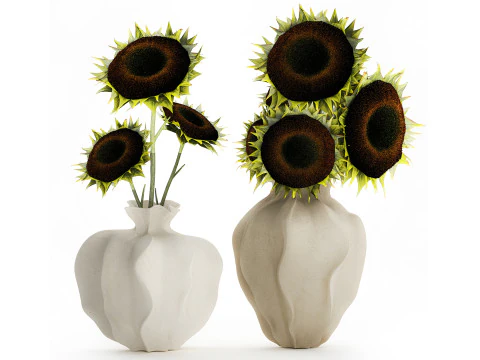 Realistyczny bukiet zielonych czarnych kwiat&oacute;w słonecznika w wazonie Model 3D