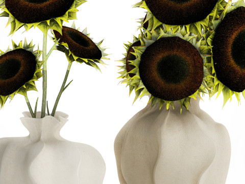 Realistic bouquet green black sunflower flowers vase decor 3D Model