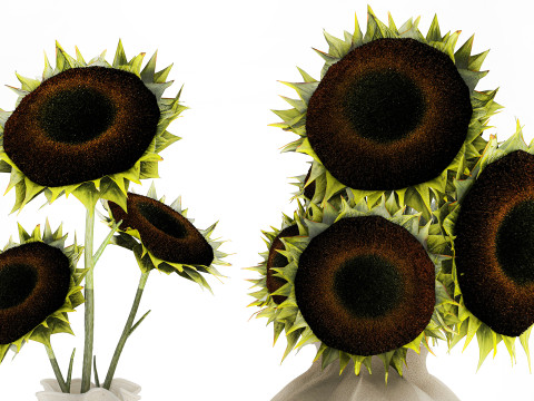 Realistic bouquet green black sunflower flowers vase decor 3D Model