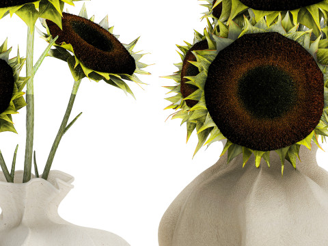 Realistic bouquet green black sunflower flowers vase decor 3D Model