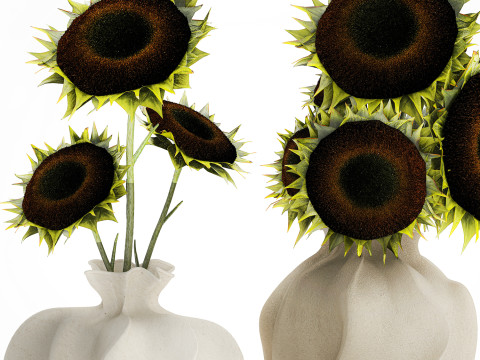 Realistic bouquet green black sunflower flowers vase decor 3D Model