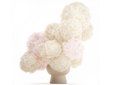 Букет розовых цветов белой гортензии современный декор вазы 3D Модель