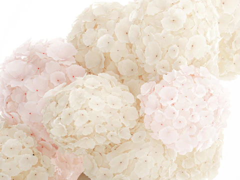 Bouquet pink flowers white hydrangea modern vase decor 3D Model
