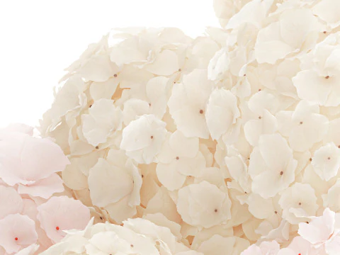 Bouquet pink flowers white hydrangea modern vase decor 3D Model