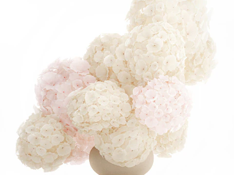 Bouquet pink flowers white hydrangea modern vase decor 3D Model