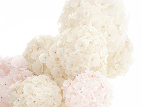 Bouquet pink flowers white hydrangea modern vase decor 3D Model