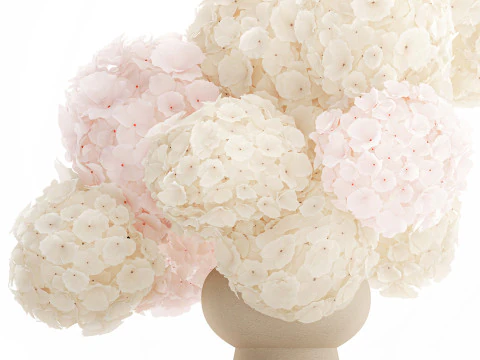 Bouquet pink flowers white hydrangea modern vase decor 3D Model