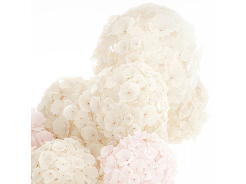 Bouquet pink flowers white hydrangea modern vase decor 3D Model