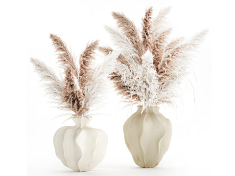 गुलदस्ता सूखे फूल कॉर्टैडेरिया पम्पास घास फूलदान सजावट 3D मॉडल