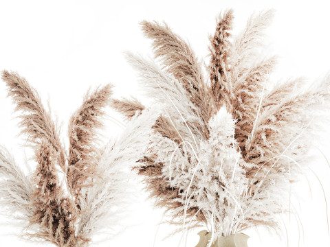 Bukiet suszonych kwiat&oacute;w cortaderia pampas trawa wazon wystr&oacute;j Model 3D