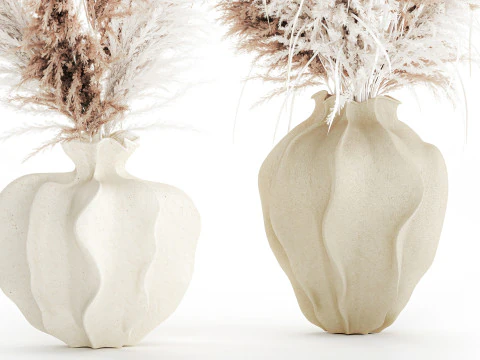 Bouquet di fiori secchi cortaderia pampas erba decorazione vaso Modello 3D