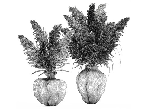 Bukiet suszonych kwiat&oacute;w cortaderia pampas trawa wazon wystr&oacute;j Model 3D