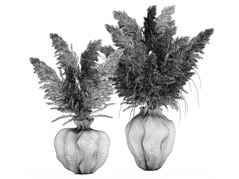 Bouquet di fiori secchi cortaderia pampas erba decorazione vaso Modello 3D