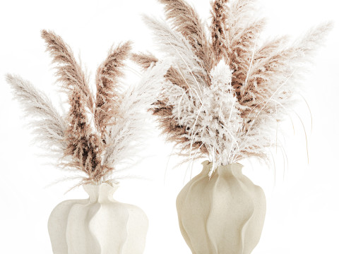 Bukiet suszonych kwiat&oacute;w cortaderia pampas trawa wazon wystr&oacute;j Model 3D