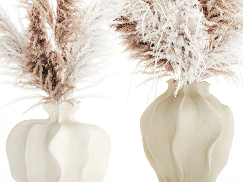 Bouquet di fiori secchi cortaderia pampas erba decorazione vaso Modello 3D