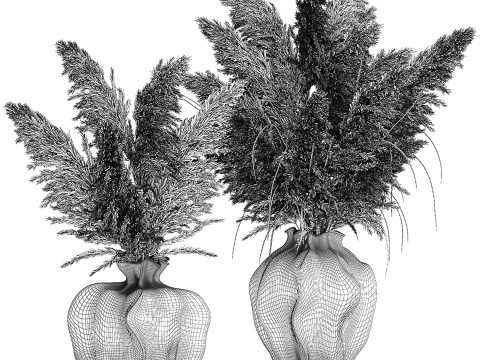 Bukiet suszonych kwiat&oacute;w cortaderia pampas trawa wazon wystr&oacute;j Model 3D