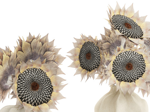 Lindo buqu&ecirc; de flores de girassol conjunto de decora&ccedil;&atilde;o de vaso 687 Modelo 3D