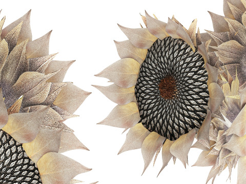 Lindo buqu&ecirc; de flores de girassol conjunto de decora&ccedil;&atilde;o de vaso 687 Modelo 3D