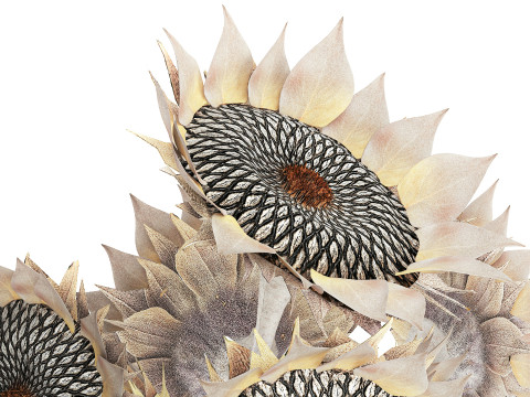 Lindo buqu&ecirc; de flores de girassol conjunto de decora&ccedil;&atilde;o de vaso 687 Modelo 3D