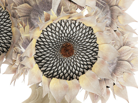 Lindo buqu&ecirc; de flores de girassol conjunto de decora&ccedil;&atilde;o de vaso 687 Modelo 3D