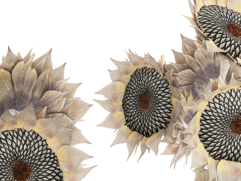 Lindo buqu&ecirc; de flores de girassol conjunto de decora&ccedil;&atilde;o de vaso 687 Modelo 3D