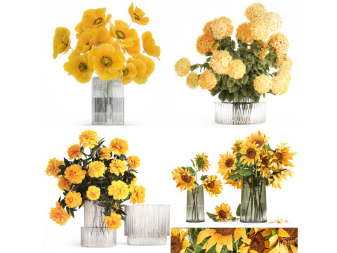 Collection realistic yellow bouquets poppy peony set vase 3D Model