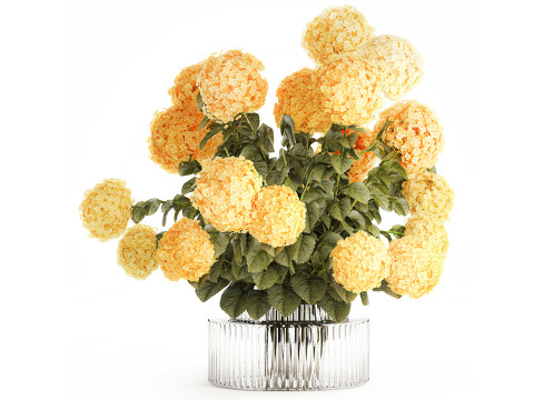 コレクション現実的な黄色の花束ケシ牡丹セット花瓶 3Dモデル