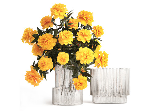 コレクション現実的な黄色の花束ケシ牡丹セット花瓶 3Dモデル