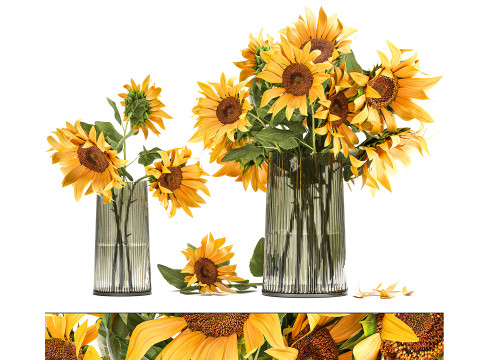 コレクション現実的な黄色の花束ケシ牡丹セット花瓶 3Dモデル