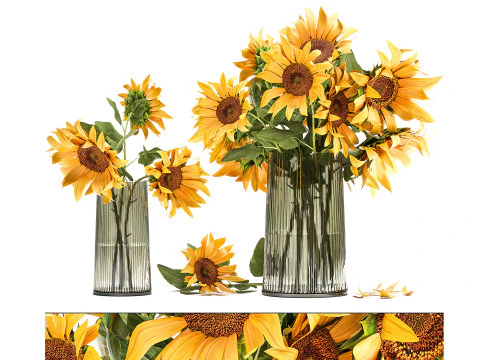 コレクション現実的な黄色の花束ケシ牡丹セット花瓶 3Dモデル