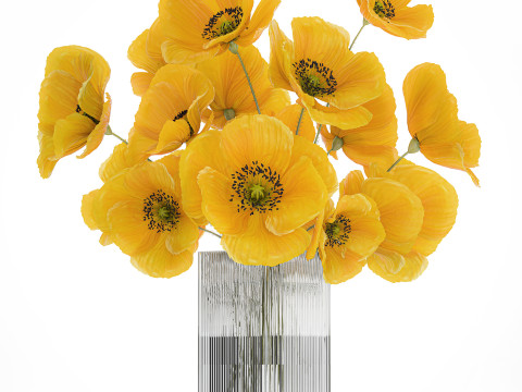 コレクション現実的な黄色の花束ケシ牡丹セット花瓶 3Dモデル
