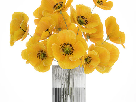 コレクション現実的な黄色の花束ケシ牡丹セット花瓶 3Dモデル