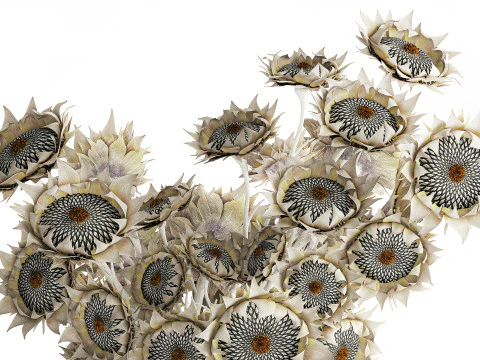 Buqu&ecirc; de girassol flores secas vaso de cer&acirc;mica decora&ccedil;&atilde;o nova Modelo 3D