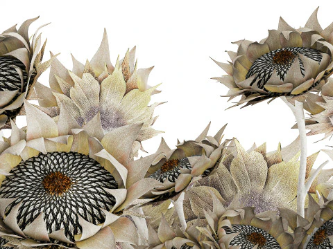 Buqu&ecirc; de girassol flores secas vaso de cer&acirc;mica decora&ccedil;&atilde;o nova Modelo 3D