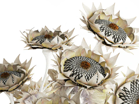 Buqu&ecirc; de girassol flores secas vaso de cer&acirc;mica decora&ccedil;&atilde;o nova Modelo 3D