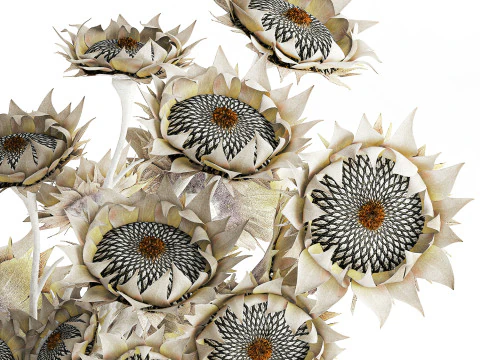 Buqu&ecirc; de girassol flores secas vaso de cer&acirc;mica decora&ccedil;&atilde;o nova Modelo 3D