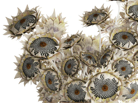 Buqu&ecirc; de girassol flores secas vaso de cer&acirc;mica decora&ccedil;&atilde;o nova Modelo 3D