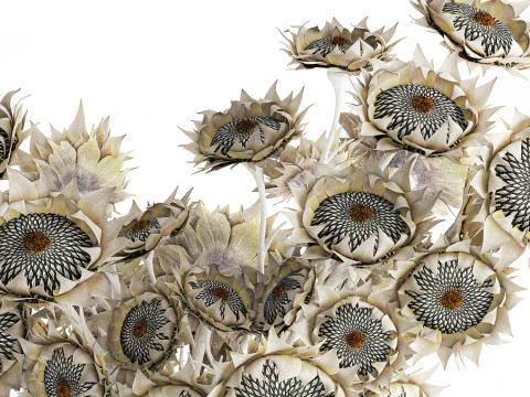 Buqu&ecirc; de girassol flores secas vaso de cer&acirc;mica decora&ccedil;&atilde;o nova Modelo 3D