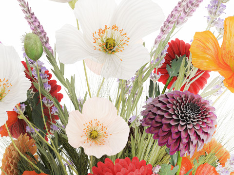 Realistische wilde bloemenboeket papaver lavendel tarwevaas 3D Model