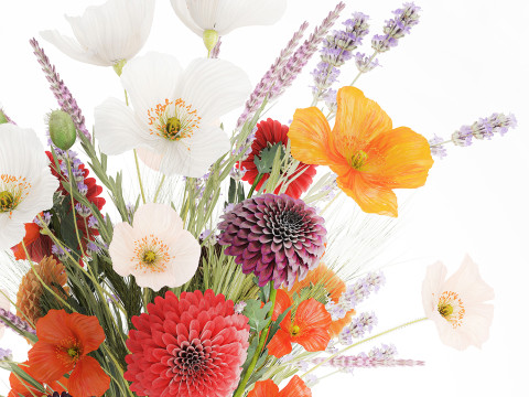 Realistische wilde bloemenboeket papaver lavendel tarwevaas 3D Model