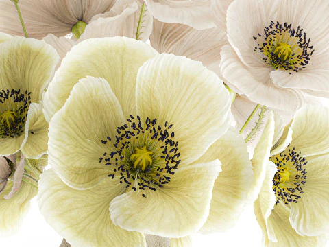 Buqu&ecirc; de flores silvestres vaso de cer&acirc;mica de papoula islandesa Modelo 3D