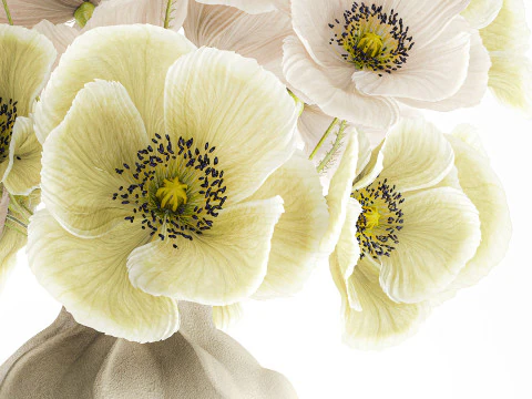 Buqu&ecirc; de flores silvestres vaso de cer&acirc;mica de papoula islandesa Modelo 3D