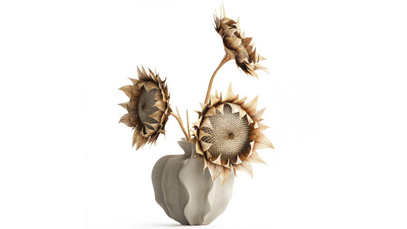 Bouquet dried flower branches sunflower vase decor new 3D Model .c4d .max .obj .3ds .fbx .stl .blend