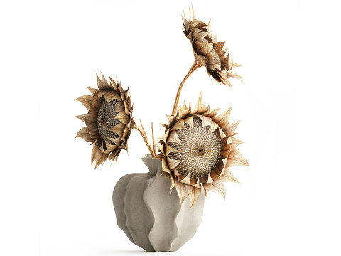 花束干花树枝向日葵花瓶装饰新款 3D 模型