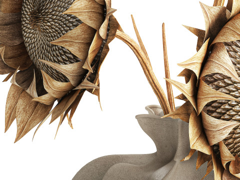 Bouquet dried flower branches sunflower vase decor new 3D Model