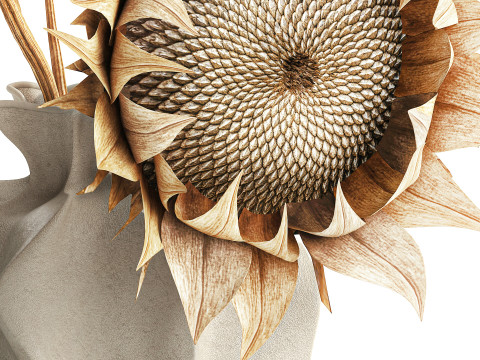 Bouquet dried flower branches sunflower vase decor new 3D Model