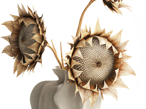 Bouquet dried flower branches sunflower vase decor new 3D Model