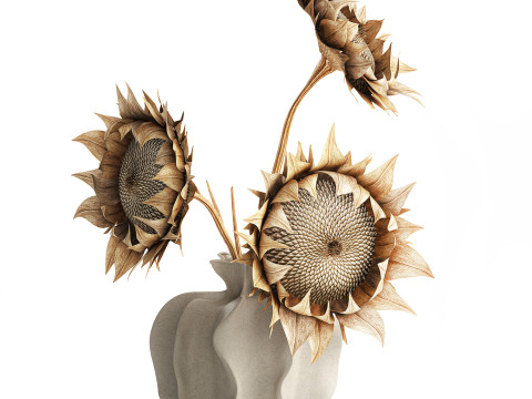 Bouquet dried flower branches sunflower vase decor new 3D Model