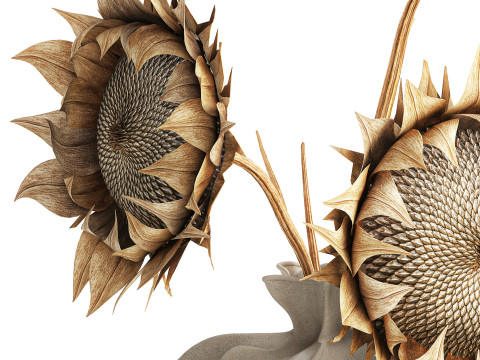 Bouquet dried flower branches sunflower vase decor new 3D Model