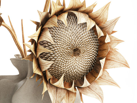 Bouquet dried flower branches sunflower vase decor new 3D Model